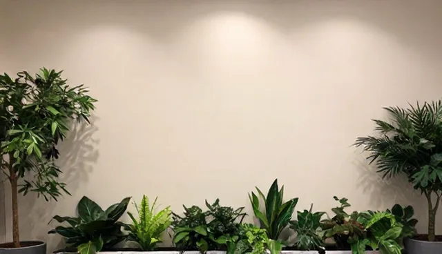 电商代运营服务性能与适用条件的比较分析